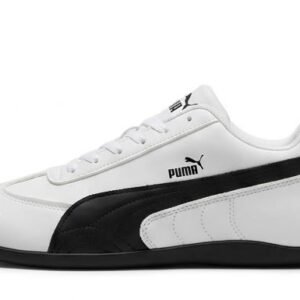Puma 1