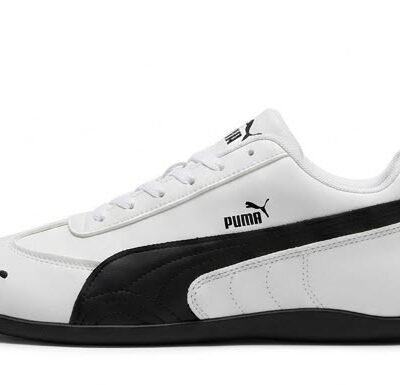 Puma 1