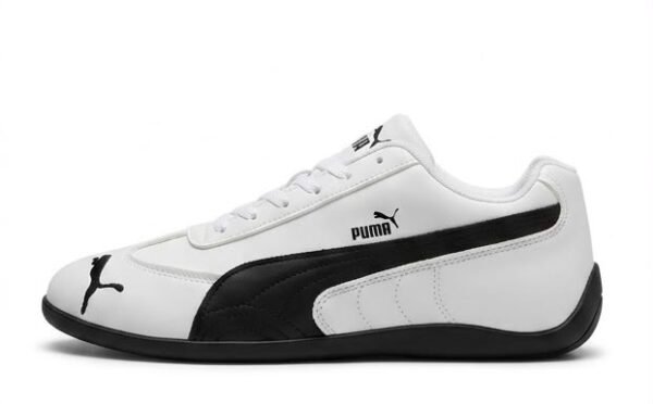 Puma 1