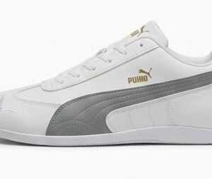 Puma 2