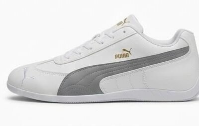 Puma 2