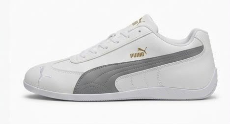 Puma 2