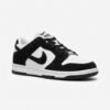 Nike SB